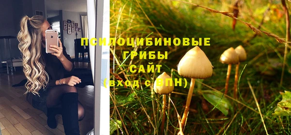 дживик Вяземский