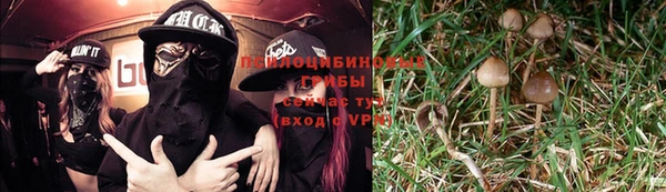 дживик Вяземский
