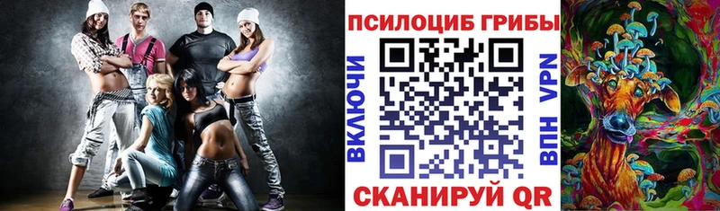 Псилоцибиновые грибы MAGIC MUSHROOMS  hydra как войти  Знаменск 